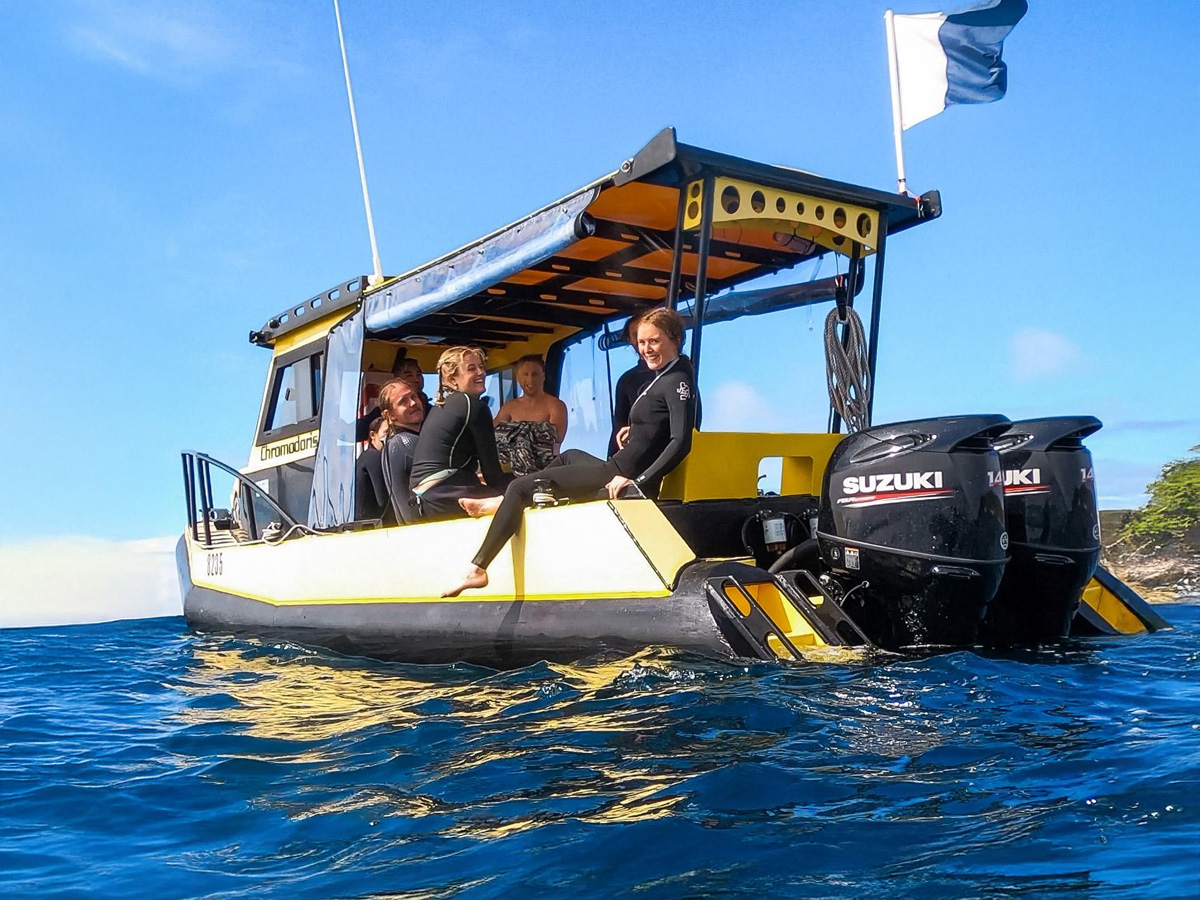 The last 2024 Rotto Double Dive (Open Water) - Tuesday 31st December